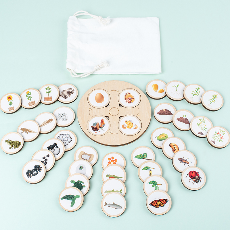 Science Nature - Life Cycle Board Montessori Kit Biology