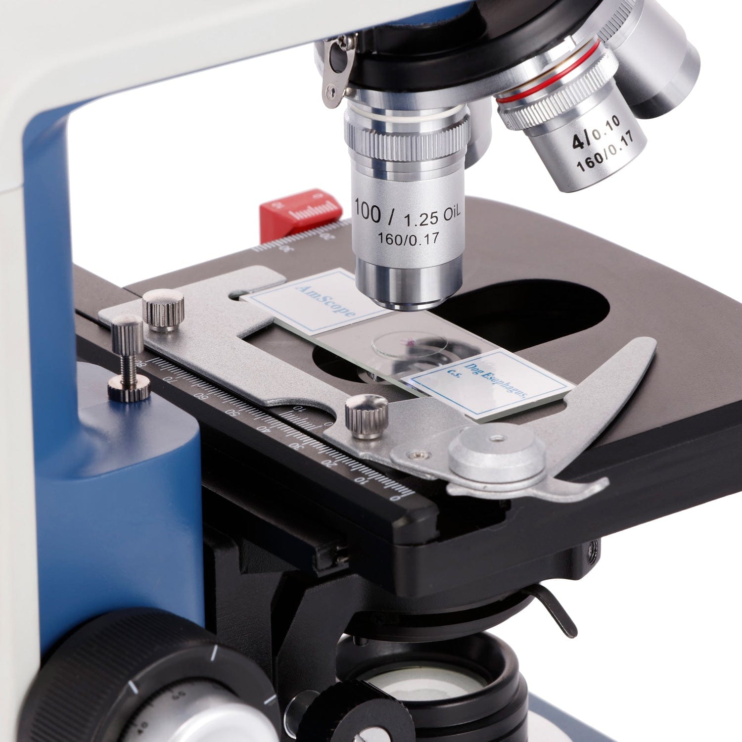 AmScope 40X-2500X Student Bino - огляд і ціна Microscope Compound 40X