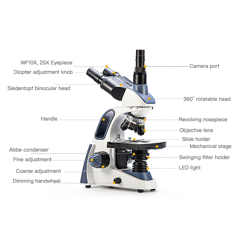 SWIFT SW380T Compound Trinocul - огляд і ціна Microscope Compound 40X