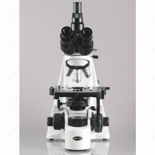 AmScope 40X-2500X Infinity Koh - огляд і ціна Microscope Compound 40X