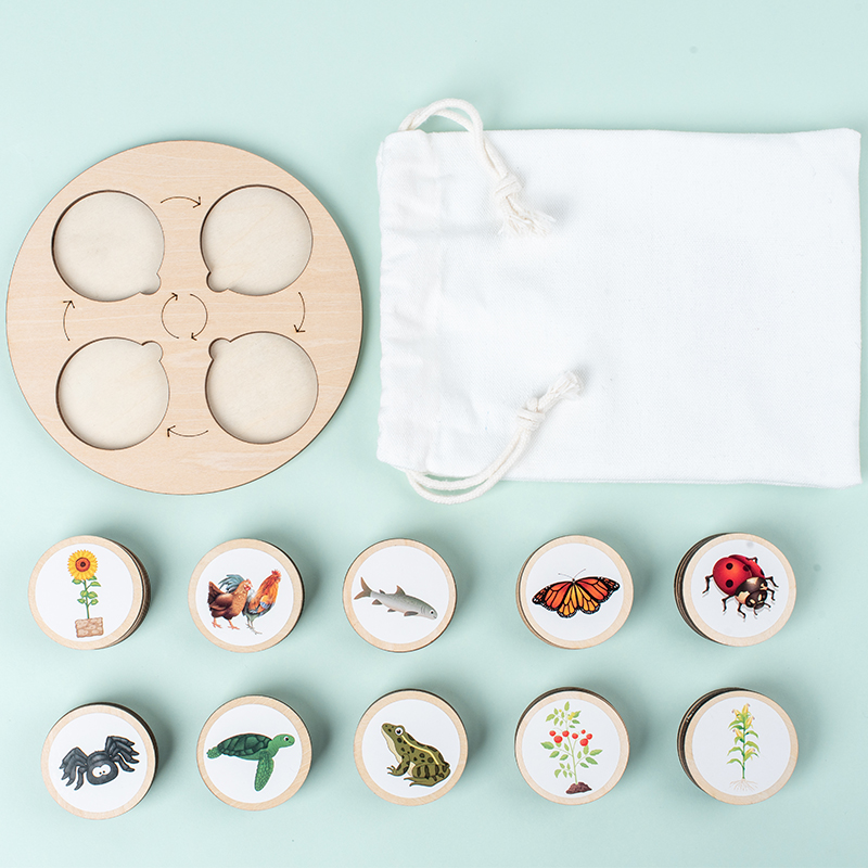 Life Cycle Board Montessori Ki - огляд і ціна Science Nature