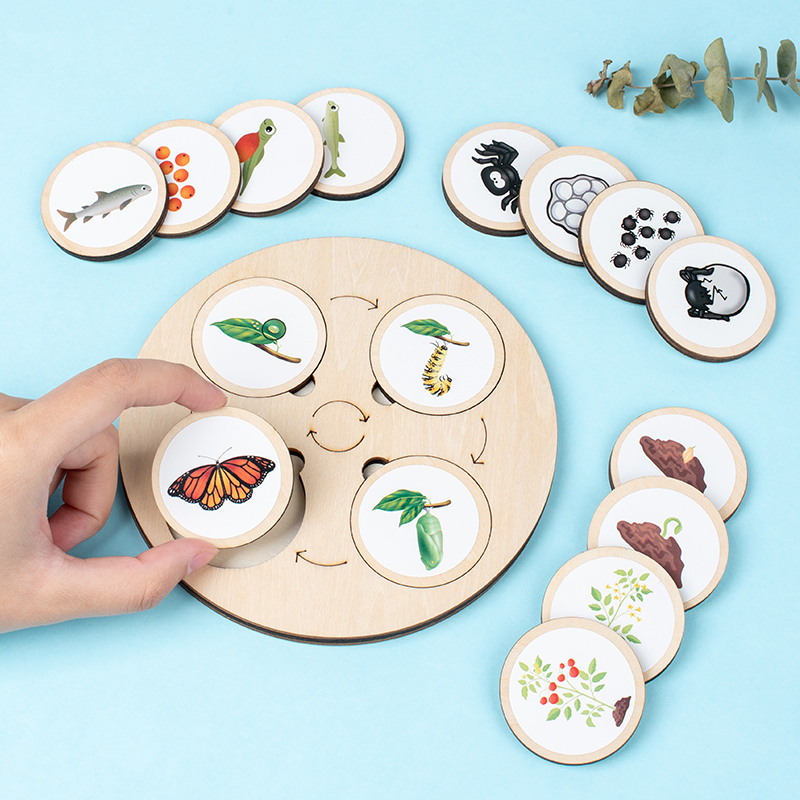 Life Cycle Board Montessori Ki - огляд і ціна Science Nature